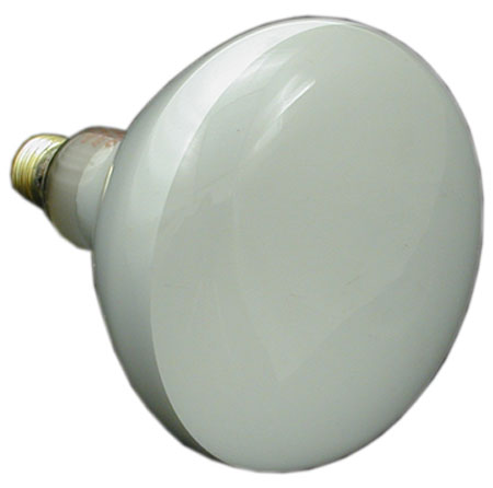 SP-542-Z4 300W 120V Bulb Only - LIGHT & NICHE PARTS